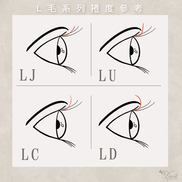 L毛 羽翼款 塔尖款