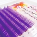 彩虹糖-綜合-檢定紫