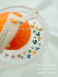 日系BLC同款乾燥花-12朵1盒/4種可選(乾燥花D)